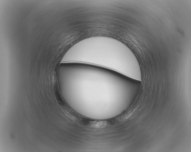 X0000116650135200912141014