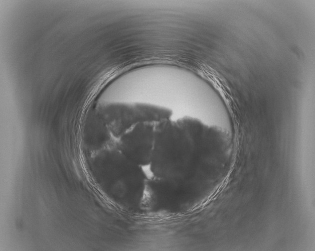 X0000116650145200912141013