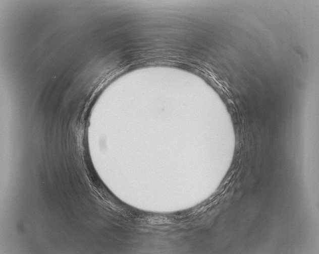X0000116650146200912141013