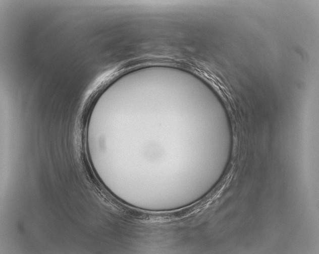X0000116650149200912141013