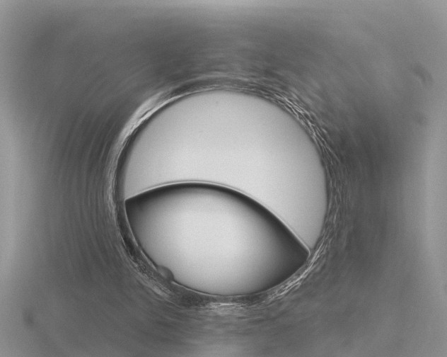 X0000116650150200912141013