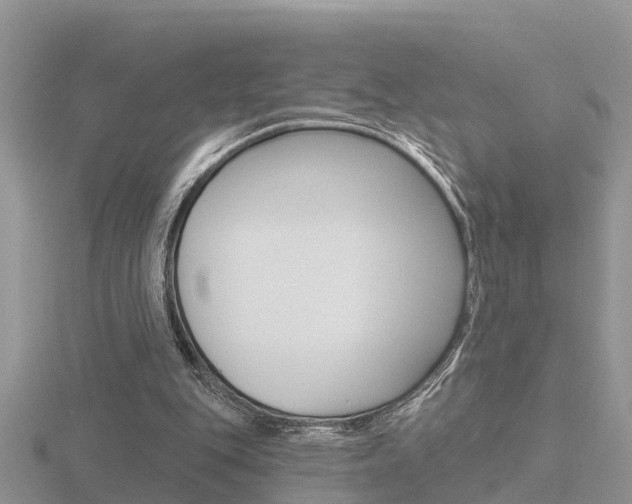 X0000116650151200912141013