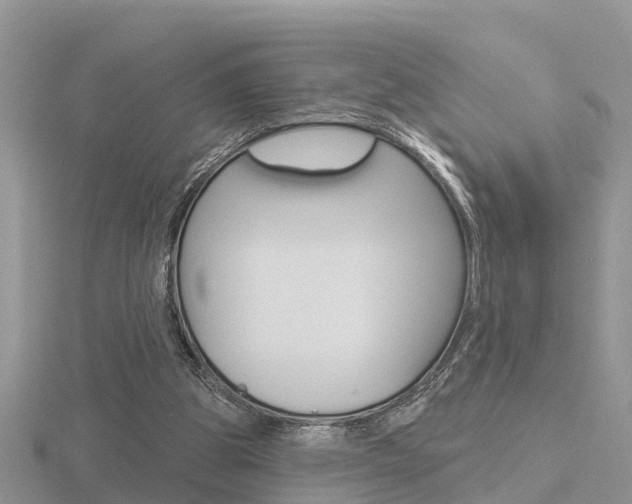X0000116650153200912141013