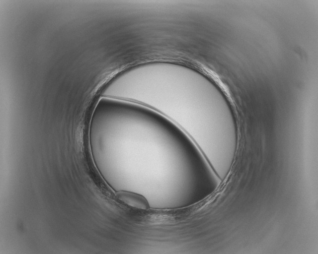X0000116650154200912141013