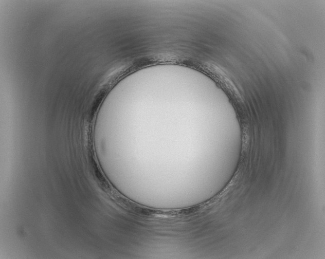 X0000116650167200912141013
