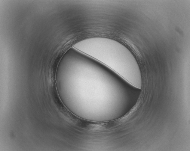 X0000116650170200912141013