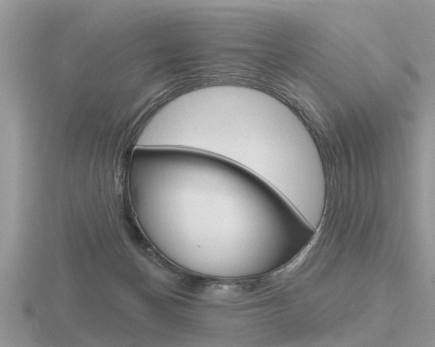 X0000116650174200912141013