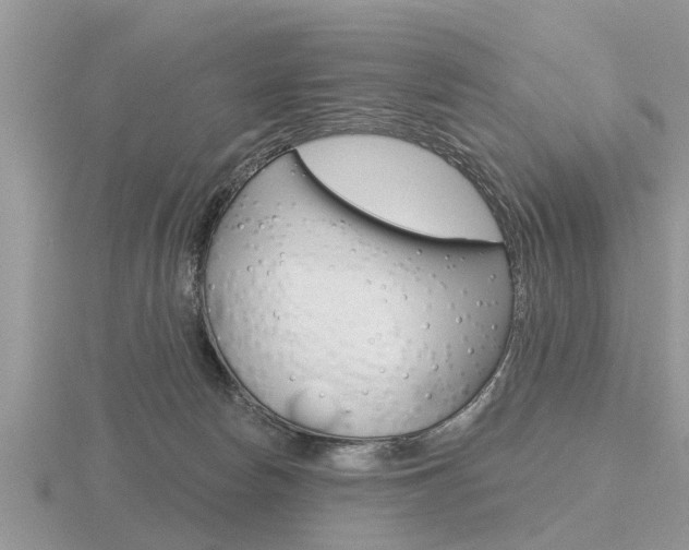 X0000116650178200912141013