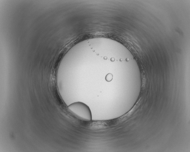 X0000116650179200912141013