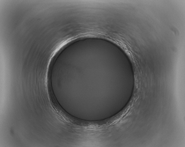 X0000116650196200912141013