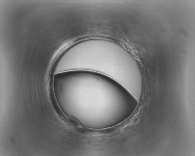X0000116650197200912141013