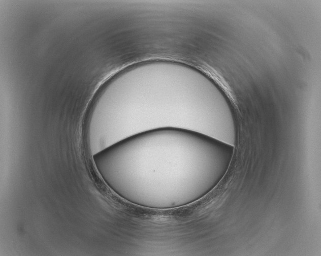 X0000116650204200912141013