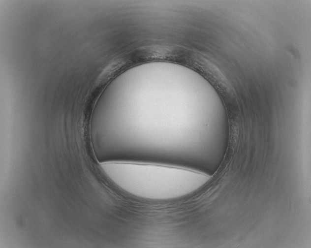 X0000116650216200912141013