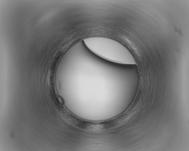 X0000116650217200912141013