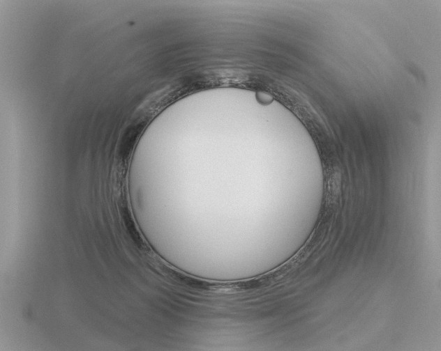 X0000116650218200912141013