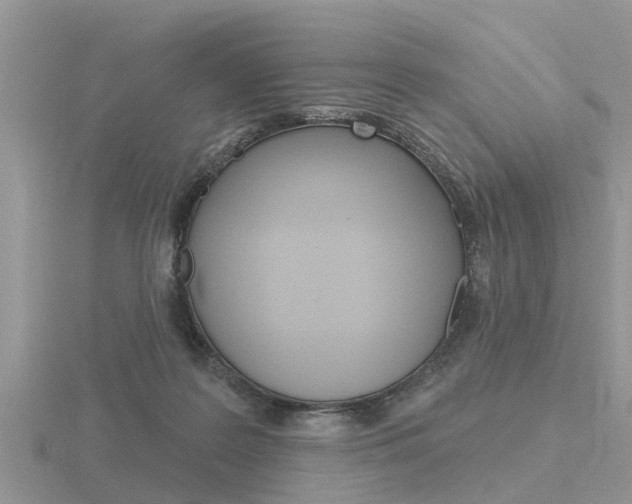 X0000116650219200912141012