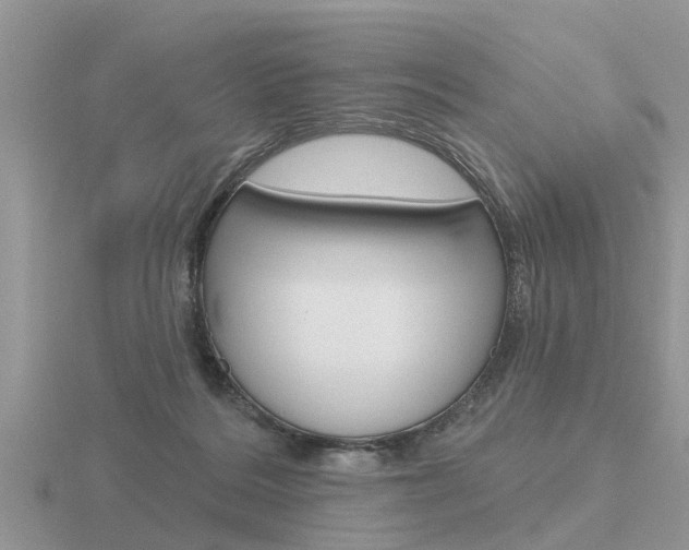 X0000116650220200912141012
