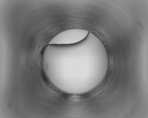 X0000116650222200912141012