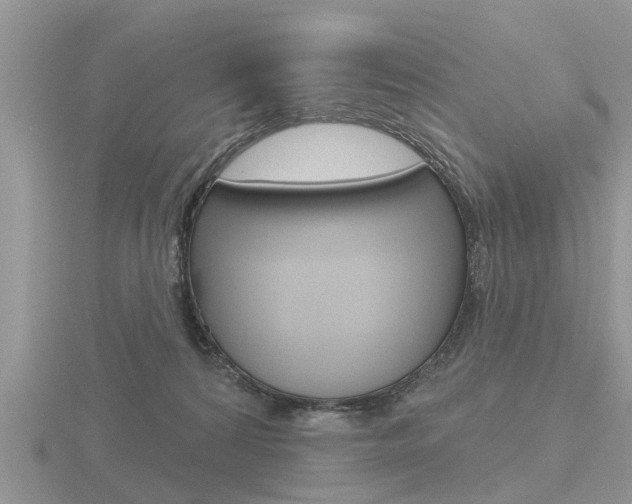 X0000116650224200912141012