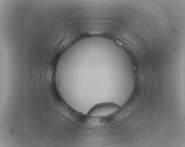 X0000116650227200912141012