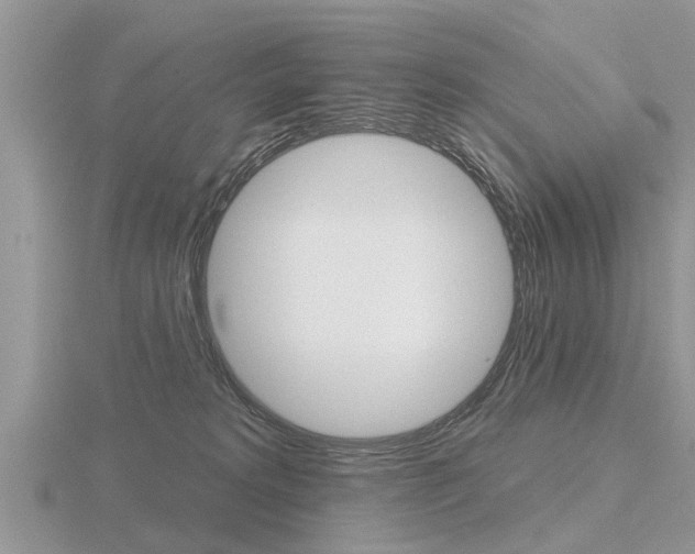 X0000116650229200912141012