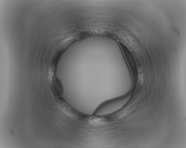 X0000116650235200912141012
