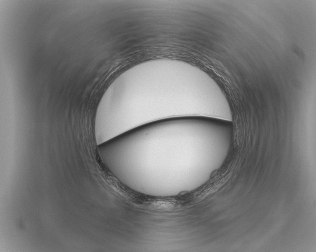 X0000116650236200912141012