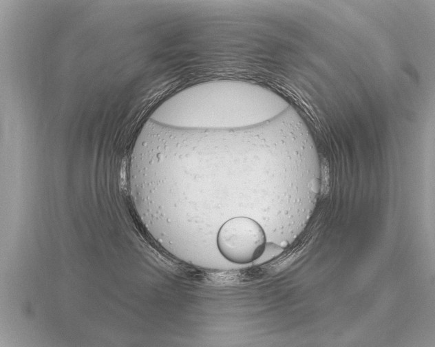 X0000116650238200912141012