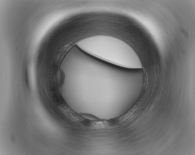 X0000116650239200912141012