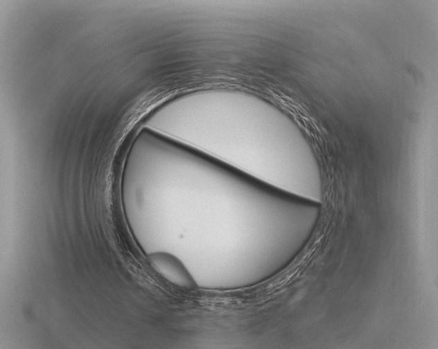 X0000116650242200912141012