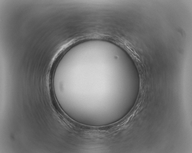 X0000116650244200912141012