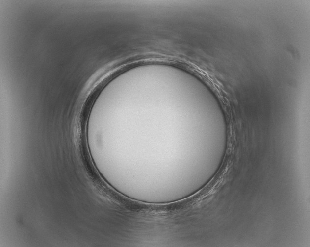 X0000116650247200912141012