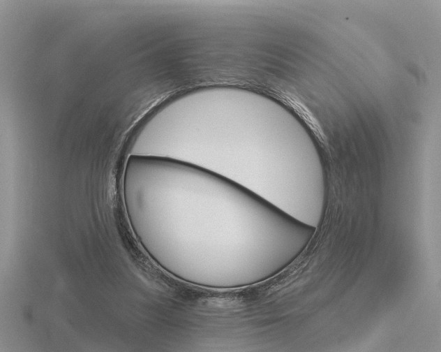 X0000116650251200912141012