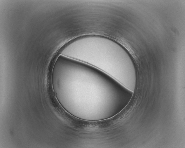 X0000116650252200912141012