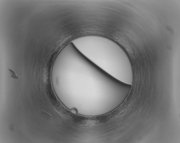 X0000116650255200912141012
