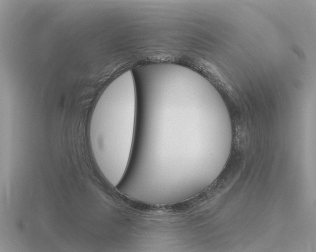 X0000116650259200912141012