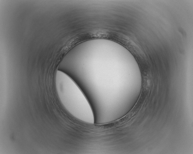 X0000116650263200912141012
