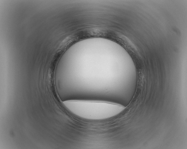 X0000116650266200912141012