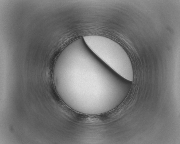 X0000116650270200912141012