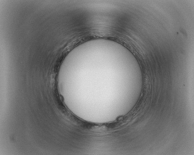 X0000116650271200912141012