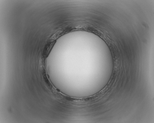 X0000116650272200912141012