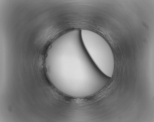 X0000116650273200912141012