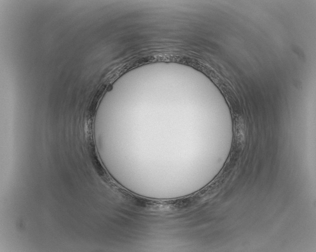X0000116650276200912141012