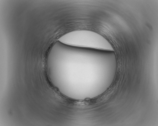 X0000116650277200912141012