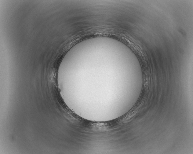 X0000116650281200912141012