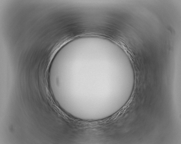X0000116650289200912141012