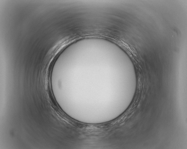 X0000116650290200912141012