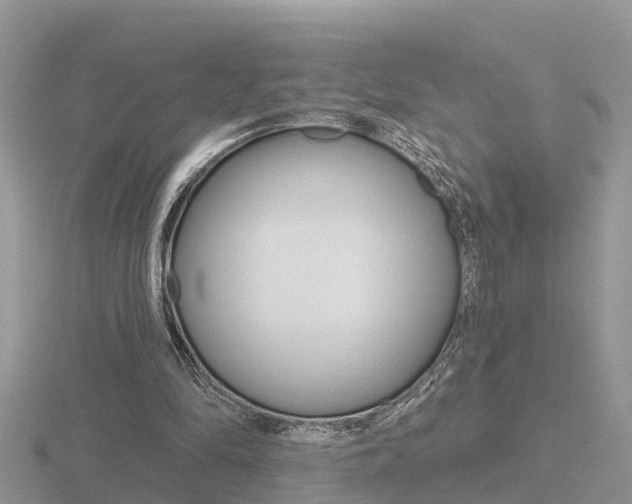 X0000116650294200912141012