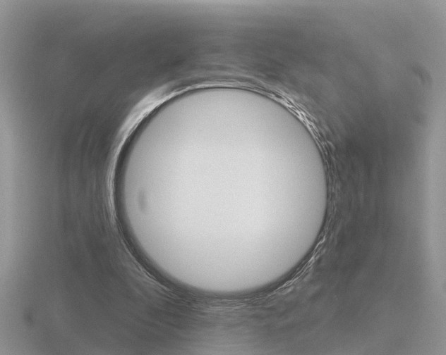 X0000116650296200912141012