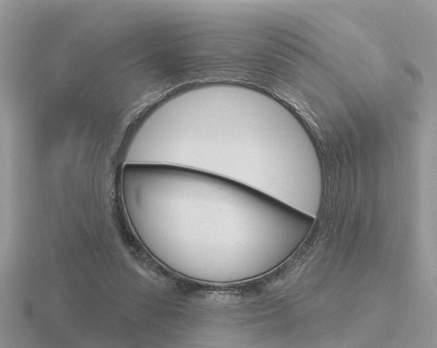 X0000116650303200912141011